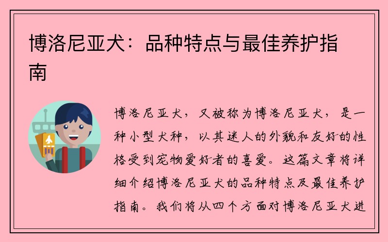 博洛尼亚犬：品种特点与最佳养护指南