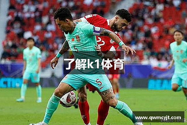 了解k1体育